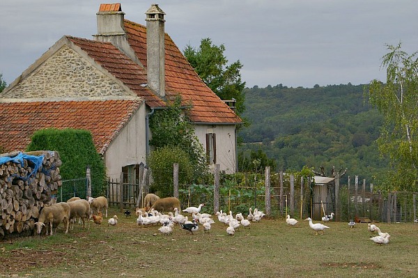 french agriculture